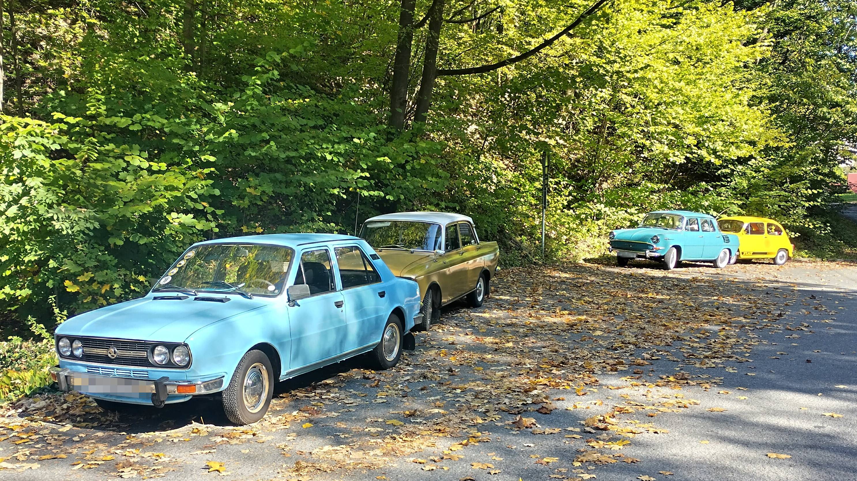 IMG_20261003_114441_HDR