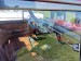 IMG_20251004_135208_HDR