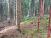 IMG_20260912_102918_HDR